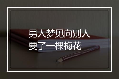 男人梦见向别人要了一棵梅花