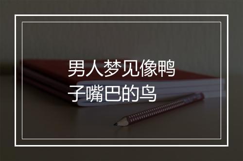 男人梦见像鸭子嘴巴的鸟