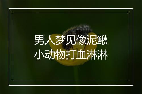 男人梦见像泥鳅小动物打血淋淋