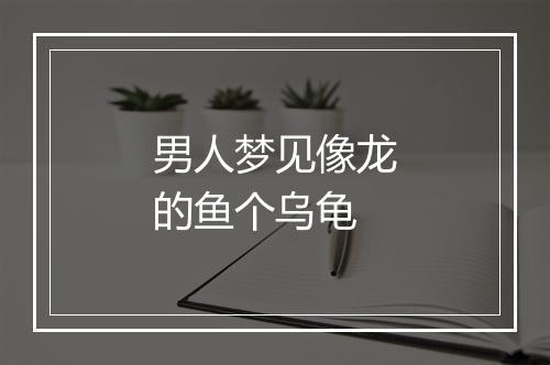 男人梦见像龙的鱼个乌龟