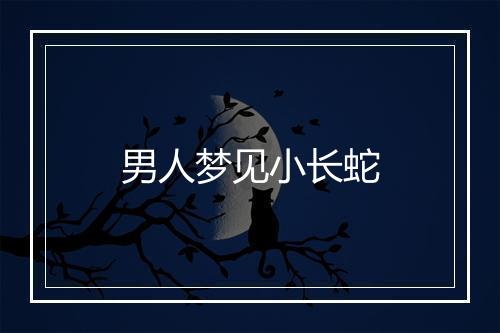 男人梦见小长蛇