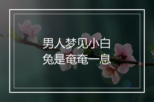 男人梦见小白兔是奄奄一息