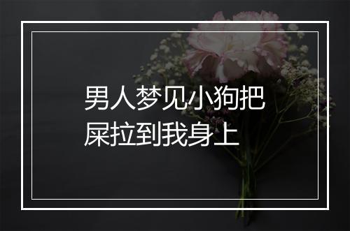 男人梦见小狗把屎拉到我身上