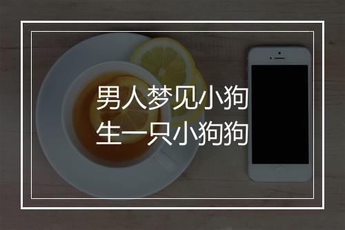 男人梦见小狗生一只小狗狗