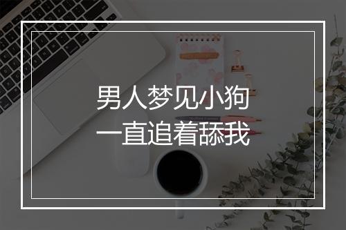 男人梦见小狗一直追着舔我