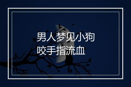 男人梦见小狗咬手指流血