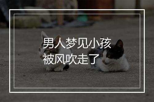 男人梦见小孩被风吹走了