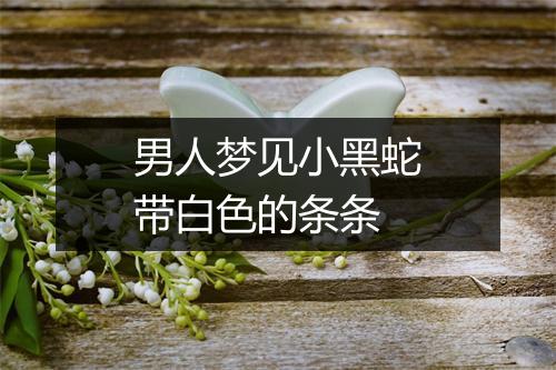 男人梦见小黑蛇带白色的条条