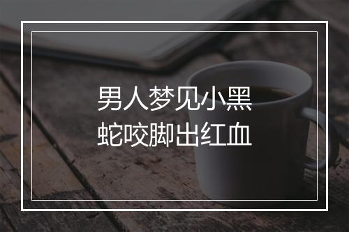 男人梦见小黑蛇咬脚出红血