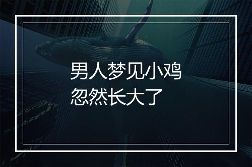 男人梦见小鸡忽然长大了