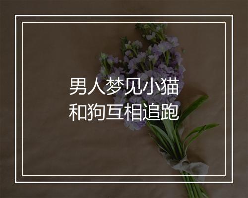 男人梦见小猫和狗互相追跑