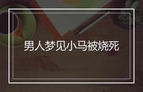 男人梦见小马被烧死