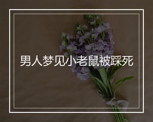 男人梦见小老鼠被踩死