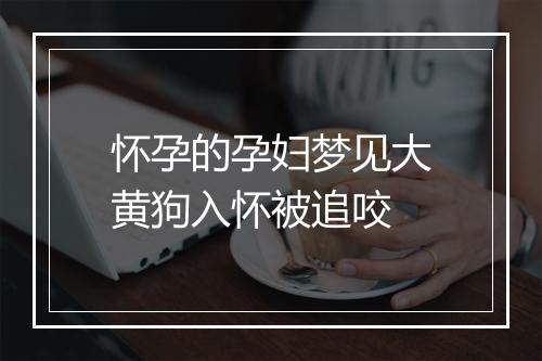 怀孕的孕妇梦见大黄狗入怀被追咬