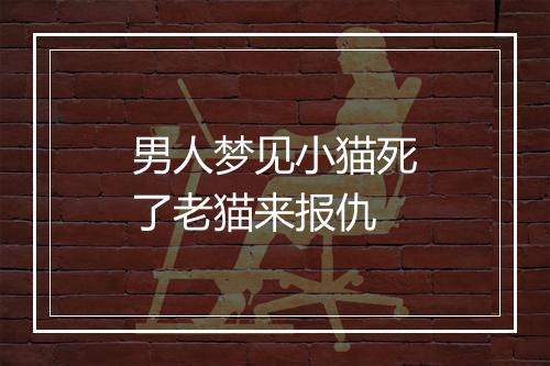 男人梦见小猫死了老猫来报仇