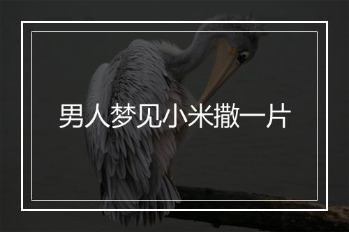 男人梦见小米撒一片