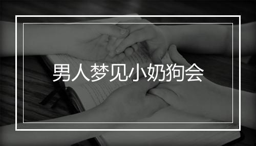 男人梦见小奶狗会