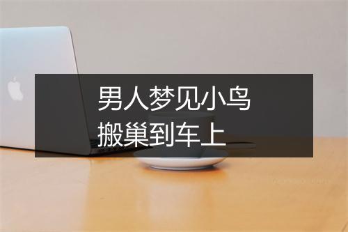 男人梦见小鸟搬巢到车上