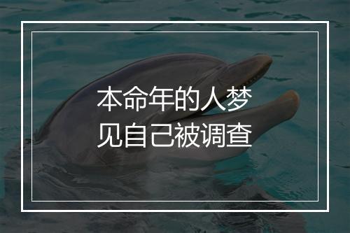 本命年的人梦见自己被调查