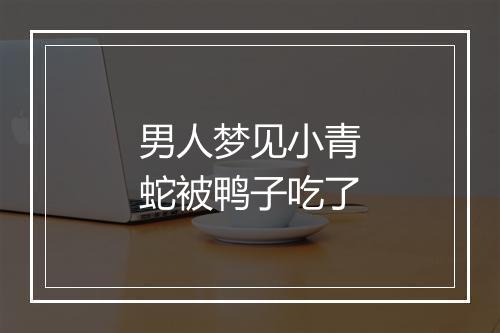 男人梦见小青蛇被鸭子吃了