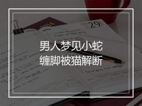 男人梦见小蛇缠脚被猫解断