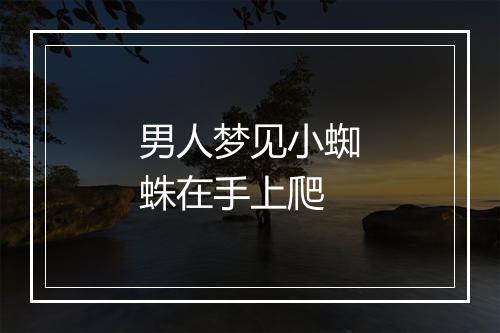 男人梦见小蜘蛛在手上爬