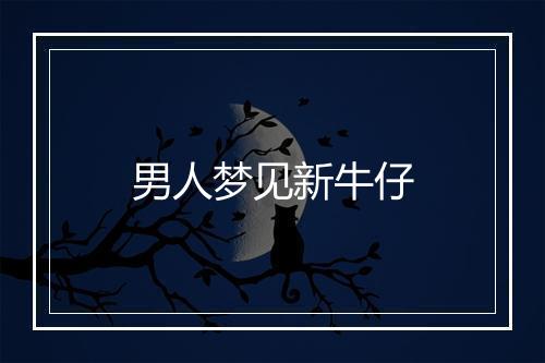 男人梦见新牛仔