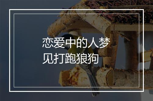 恋爱中的人梦见打跑狼狗