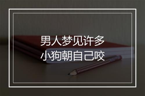 男人梦见许多小狗朝自己咬