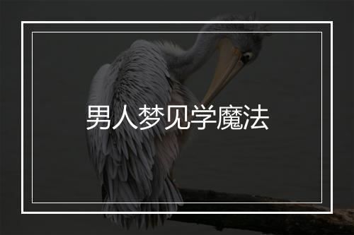 男人梦见学魔法