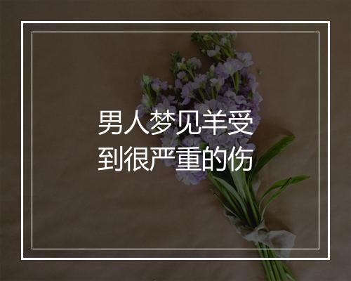 男人梦见羊受到很严重的伤