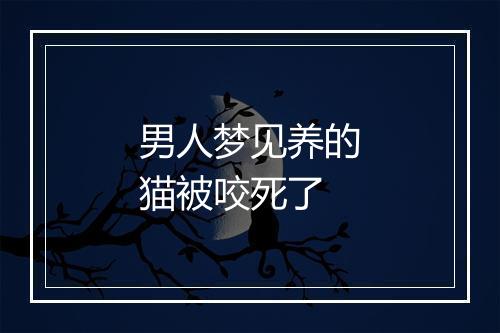 男人梦见养的猫被咬死了