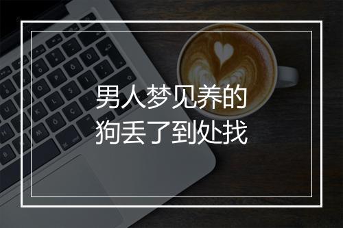 男人梦见养的狗丢了到处找