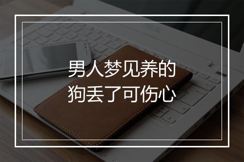 男人梦见养的狗丢了可伤心