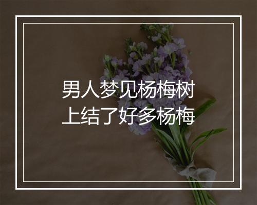 男人梦见杨梅树上结了好多杨梅