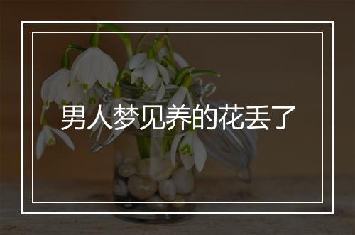 男人梦见养的花丢了