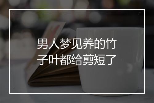 男人梦见养的竹子叶都给剪短了