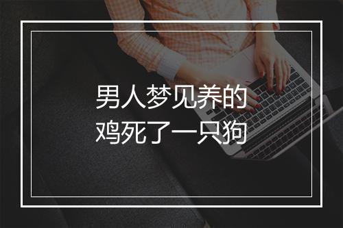 男人梦见养的鸡死了一只狗