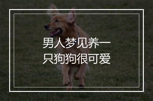 男人梦见养一只狗狗很可爱