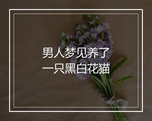 男人梦见养了一只黑白花猫