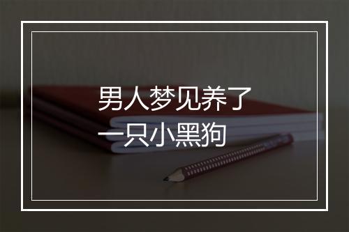 男人梦见养了一只小黑狗