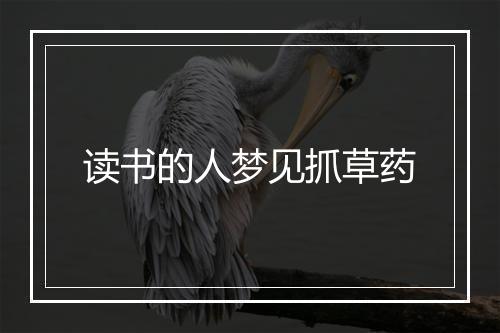 读书的人梦见抓草药