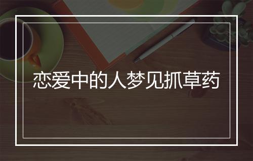 恋爱中的人梦见抓草药