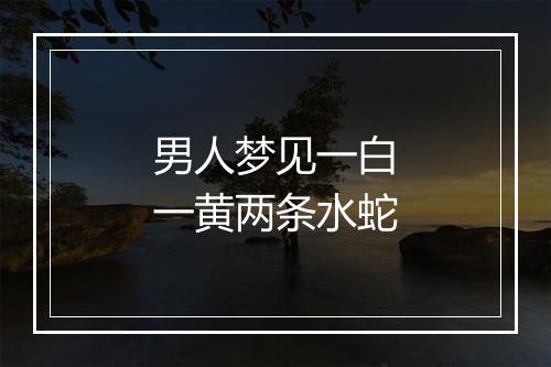 男人梦见一白一黄两条水蛇