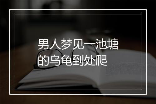 男人梦见一池塘的乌龟到处爬