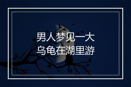 男人梦见一大乌龟在湖里游