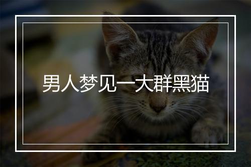 男人梦见一大群黑猫