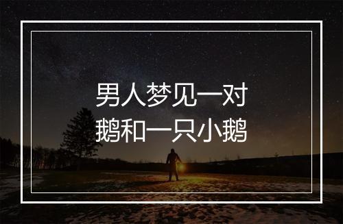 男人梦见一对鹅和一只小鹅