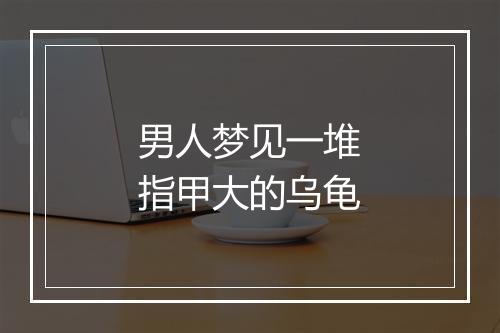 男人梦见一堆指甲大的乌龟