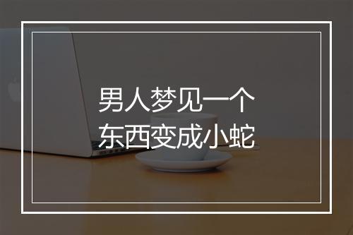 男人梦见一个东西变成小蛇